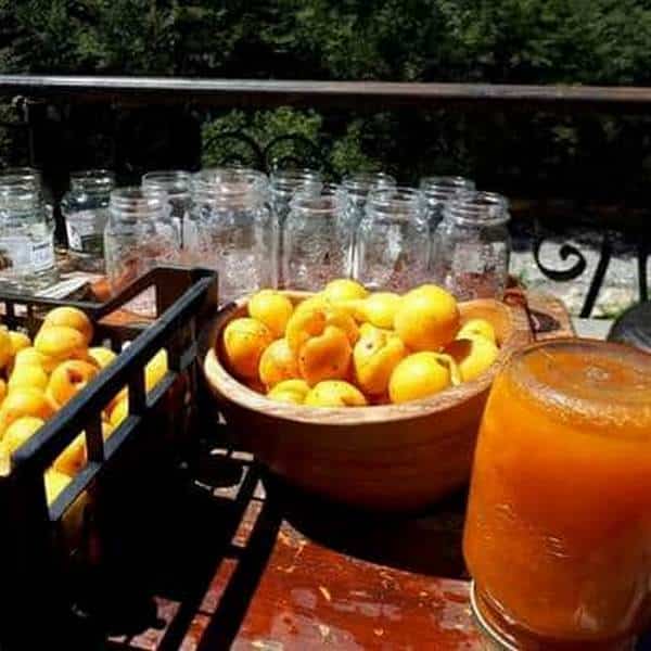 confiture d'abricotes